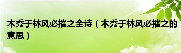 木秀于林風(fēng)必摧之全詩（木秀于林風(fēng)必摧之的意思）