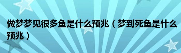 做夢(mèng)夢(mèng)見(jiàn)很多魚(yú)是什么預(yù)兆（夢(mèng)到死魚(yú)是什么預(yù)兆）
