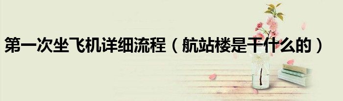 第一次坐飛機詳細流程（航站樓是干什么的）