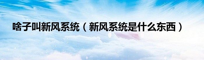 啥子叫新風系統(tǒng)（新風系統(tǒng)是什么東西）