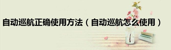 自動巡航正確使用方法（自動巡航怎么使用）