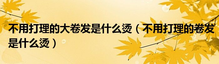 不用打理的大卷發(fā)是什么燙（不用打理的卷發(fā)是什么燙）