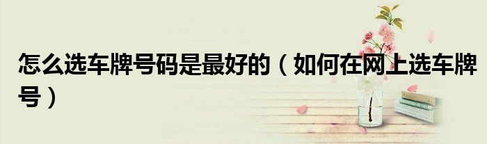 怎么選車牌號(hào)碼是最好的（如何在網(wǎng)上選車牌號(hào)）