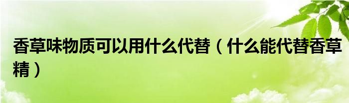香草味物質(zhì)可以用什么代替（什么能代替香草精）