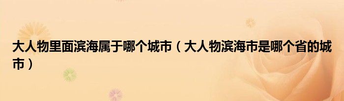 大人物里面濱海屬于哪個(gè)城市（大人物濱海市是哪個(gè)省的城市）