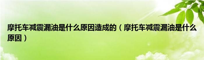 摩托車減震漏油是什么原因造成的（摩托車減震漏油是什么原因）