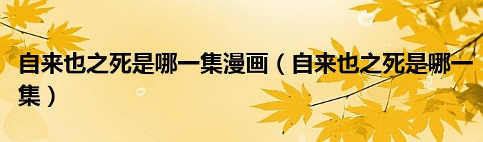 自來(lái)也之死是哪一集漫畫(huà)（自來(lái)也之死是哪一集）