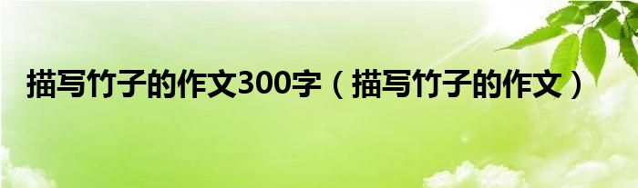 描寫竹子的作文300字（描寫竹子的作文）