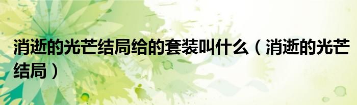 消逝的光芒結(jié)局給的套裝叫什么（消逝的光芒結(jié)局）