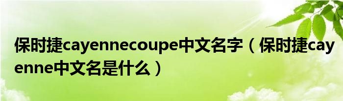 保時捷cayennecoupe中文名字（保時捷cayenne中文名是什么）