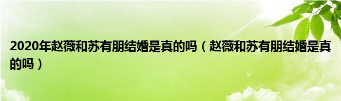2020年趙薇和蘇有朋結(jié)婚是真的嗎（趙薇和蘇有朋結(jié)婚是真的嗎）