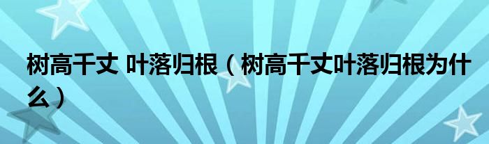 樹高千丈 葉落歸根（樹高千丈葉落歸根為什么）
