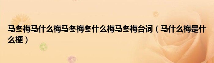 馬冬梅馬什么梅馬冬梅冬什么梅馬冬梅臺(tái)詞（馬什么梅是什么梗）