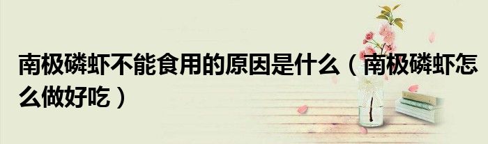 南極磷蝦不能食用的原因是什么（南極磷蝦怎么做好吃）