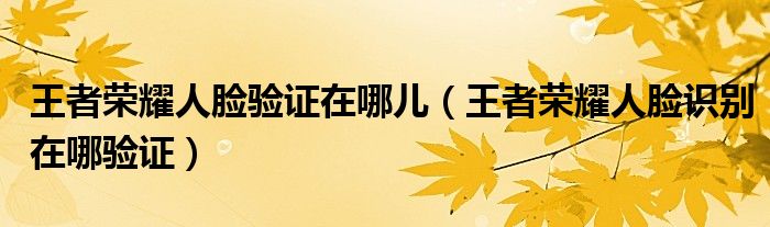 王者榮耀人臉驗(yàn)證在哪兒（王者榮耀人臉識(shí)別在哪驗(yàn)證）