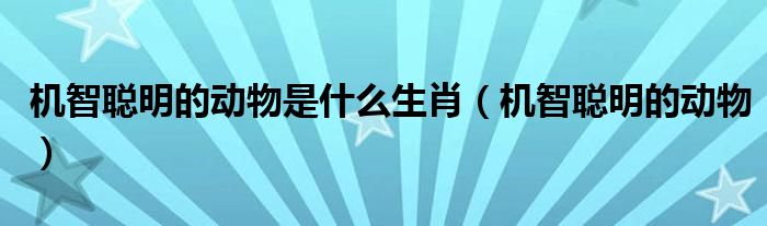 機(jī)智聰明的動(dòng)物是什么生肖（機(jī)智聰明的動(dòng)物）
