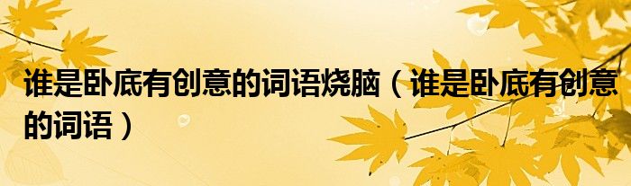 誰是臥底有創(chuàng)意的詞語燒腦（誰是臥底有創(chuàng)意的詞語）