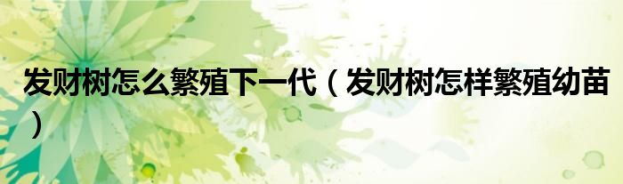 發(fā)財樹怎么繁殖下一代（發(fā)財樹怎樣繁殖幼苗）
