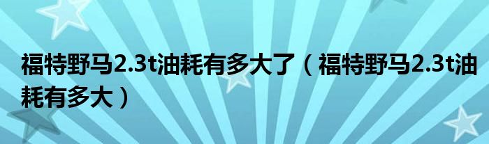 福特野馬2.3t油耗有多大了（福特野馬2.3t油耗有多大）