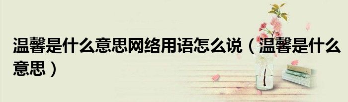 溫馨是什么意思網(wǎng)絡(luò)用語怎么說（溫馨是什么意思）