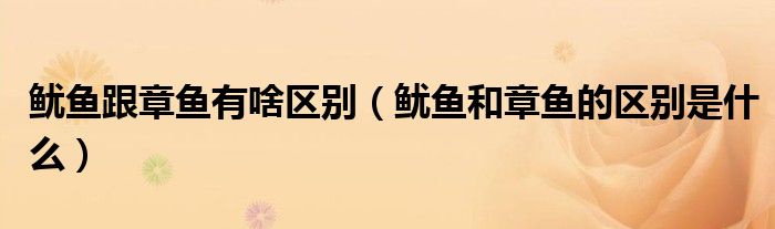 魷魚跟章魚有啥區(qū)別（魷魚和章魚的區(qū)別是什么）