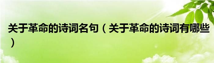 關(guān)于革命的詩詞名句（關(guān)于革命的詩詞有哪些）