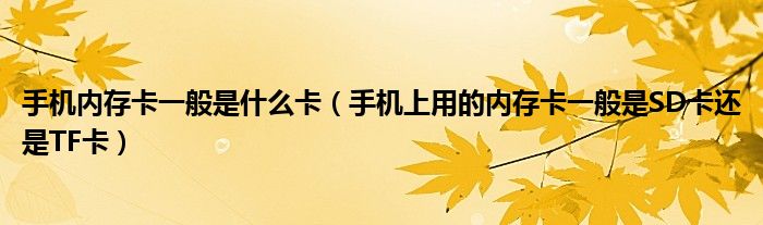 手機(jī)內(nèi)存卡一般是什么卡（手機(jī)上用的內(nèi)存卡一般是SD卡還是TF卡）