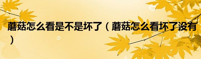蘑菇怎么看是不是壞了（蘑菇怎么看壞了沒有）