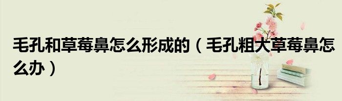 毛孔和草莓鼻怎么形成的（毛孔粗大草莓鼻怎么辦）