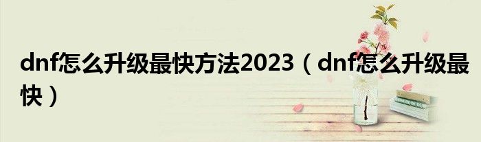 dnf怎么升級最快方法2023（dnf怎么升級最快）