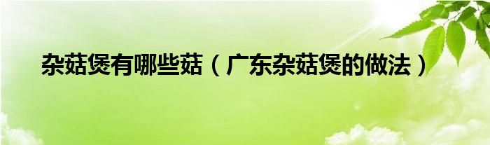 雜菇煲有哪些菇（廣東雜菇煲的做法）