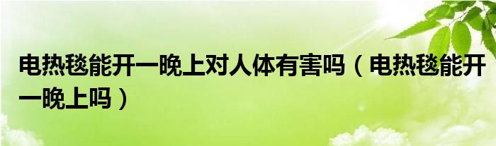 電熱毯能開(kāi)一晚上對(duì)人體有害嗎（電熱毯能開(kāi)一晚上嗎）