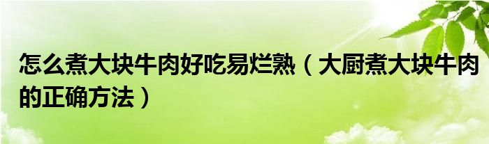 怎么煮大塊牛肉好吃易爛熟（大廚煮大塊牛肉的正確方法）