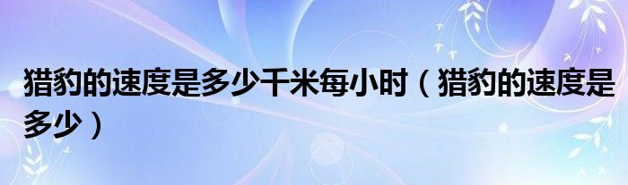 獵豹的速度是多少千米每小時（獵豹的速度是多少）