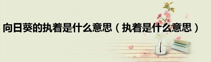 向日葵的執(zhí)著是什么意思（執(zhí)著是什么意思）