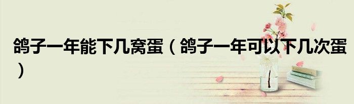 鴿子一年能下幾窩蛋（鴿子一年可以下幾次蛋）