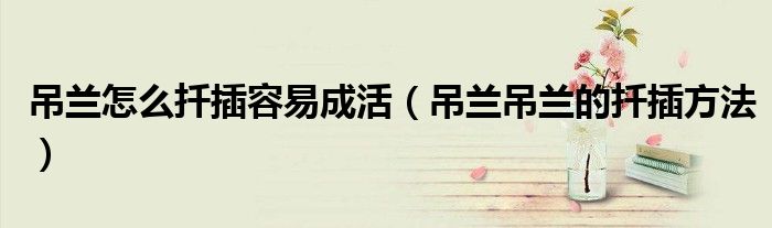 吊蘭怎么扦插容易成活（吊蘭吊蘭的扦插方法）