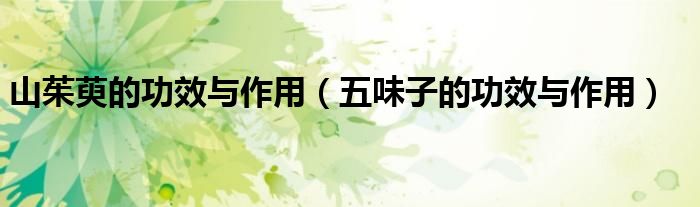 山茱萸的功效與作用（五味子的功效與作用）