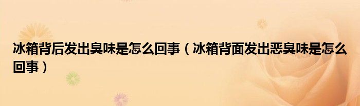 冰箱背后發(fā)出臭味是怎么回事（冰箱背面發(fā)出惡臭味是怎么回事）