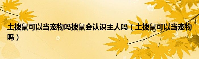 土撥鼠可以當(dāng)寵物嗎撥鼠會(huì)認(rèn)識(shí)主人嗎（土撥鼠可以當(dāng)寵物嗎）