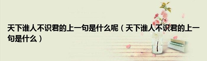 天下誰人不識君的上一句是什么呢（天下誰人不識君的上一句是什么）