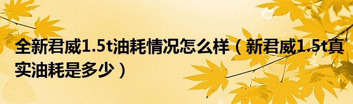全新君威1.5t油耗情況怎么樣（新君威1.5t真實(shí)油耗是多少）