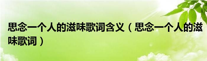 思念一個(gè)人的滋味歌詞含義（思念一個(gè)人的滋味歌詞）