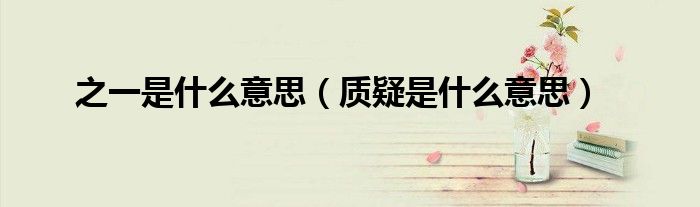 之一是什么意思（質(zhì)疑是什么意思）