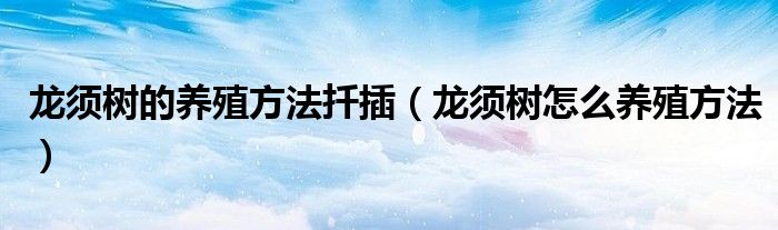 龍須樹的養(yǎng)殖方法扦插（龍須樹怎么養(yǎng)殖方法）