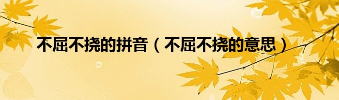 不屈不撓的拼音（不屈不撓的意思）