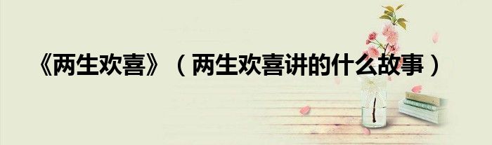 《兩生歡喜》（兩生歡喜講的什么故事）