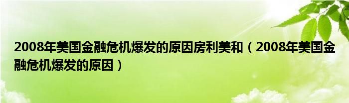 2008年美國(guó)金融危機(jī)爆發(fā)的原因房利美和（2008年美國(guó)金融危機(jī)爆發(fā)的原因）
