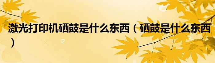 激光打印機(jī)硒鼓是什么東西（硒鼓是什么東西）