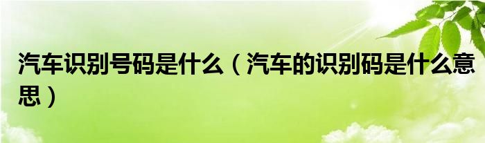 汽車識(shí)別號(hào)碼是什么（汽車的識(shí)別碼是什么意思）